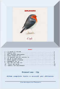 BrunorisasCIP.JPG (50704 byte)